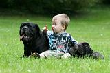 ENFANT ET CHIEN 502